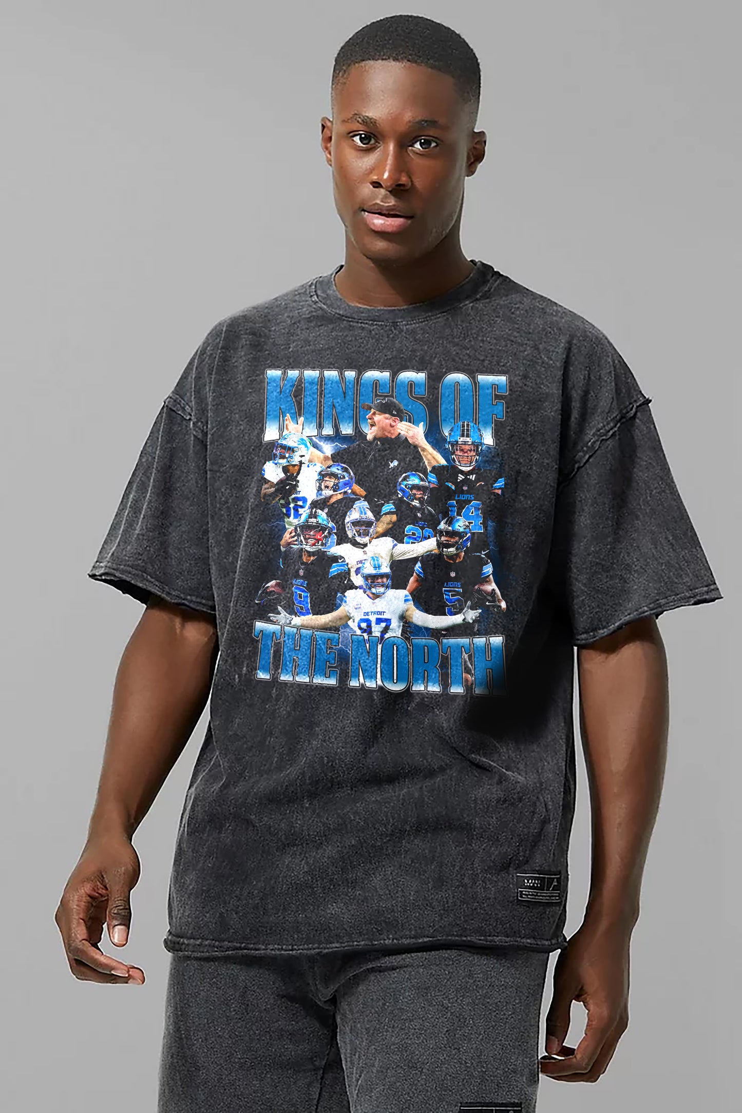 DETROIT LIONS - KINGS OF THE NORTH
